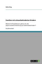 Familien mit schwerbehinderten Kindern af Heiko Klug