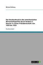 Strukturbruch in Der Amerikanischen Wirtschaftspolitik Durch Herbert C. Hoover in Seiner Prasidentschaft Von 1929 Bis 1933 af Michael Rehberg