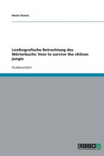 Lexikografische Betrachtung des Woerterbuchs af Neele Onnen