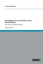 Das Problem des Lerntransfers in der Weiterbildung af Carolin Bengelsdorf