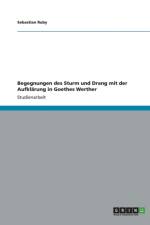 Begegnungen des Sturm und Drang mit der Aufklarung in Goethes Werther af Sebastian Ruby
