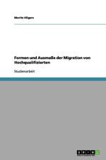 Formen und Ausmasse der Migration von Hochqualifizierten af Moritz Hilgers