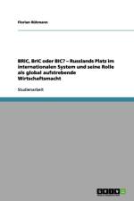 BRIC, BrIC oder BIC? - Russlands Platz im internationalen System und seine Rolle als global aufstrebende Wirtschaftsmacht af Florian Ruhmann