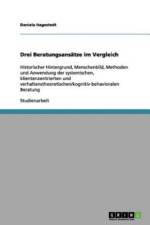 Drei Beratungsansatze im Vergleich af Daniela Hagestedt