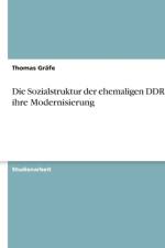 Sozialstruktur Der Ehemaligen Ddr Und Ihre Modernisierung af Thomas Grafe