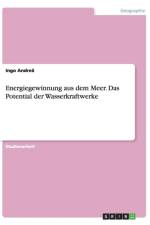 Energiegewinnung aus dem Meer. Das Potential der Wasserkraftwerke af Ingo Andrea