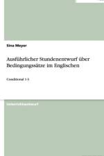 Ausfuhrlicher Stundenentwurf uber Bedingungssatze im Englischen af Sina Meyer