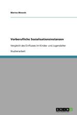 Vorberufliche Sozialisationsinstanzen af Marina Wessels