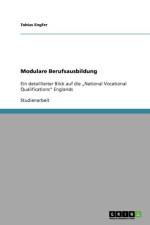 Modulare Berufsausbildung af Tobias Engfer