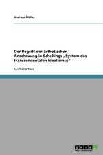 Begriff der asthetischen Anschauung in Schellings 