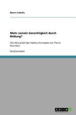 Mehr Soziale Gerechtigkeit Durch Bildung? af Bjoern Cebulla