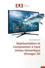 Representation Et Compression A Haut Niveau Semantique d'Images 3D af Samrouth-K