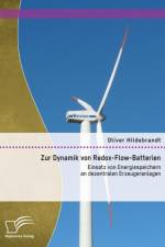 Zur Dynamik von Redox-Flow-Batterien af Oliver Hildebrandt