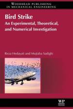Bird Strike af Reza (Researcher Hedayati