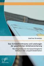 Schadelhirntrauma und Leistungen der gesetzlichen Unfallversicherung af Joeline Gromeier