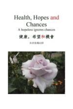 Health, Hopes and Chances af Sauce Huang