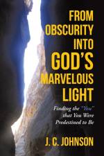 From Obscurity into God's Marvelous Light af J C Johnson