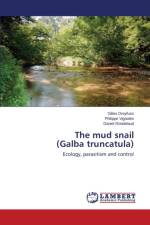 mud snail (Galba truncatula) af Rondelaud Daniel