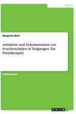 Aufnahme Und Dokumentation Von Feuchteschaden in Tiefgaragen. Ein Praxisbeispiel af Benjamin (Dr. Wolf's Agricultural Laboratories