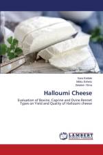 Halloumi Cheese af Yilma Zelalem