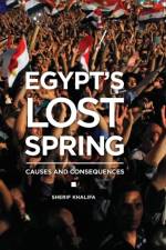 Egypt's Lost Spring af Sherif Khalifa