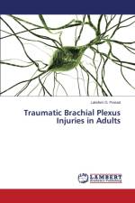 Traumatic Brachial Plexus Injuries in Adults af Prasad Lakshmi G