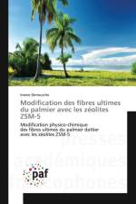 Modification Des Fibres Ultimes Du Palmier Avec Les Zeolites Zsm-5 af Derrouiche-I