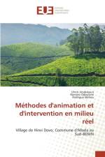 Methodes d'Animation Et d'Intervention En Milieu Reel af Collectif