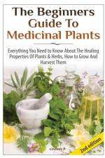 Beginners Guide to Medicinal Plants af Lindsey P