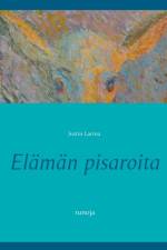 Elaman pisaroita af Justin Larma