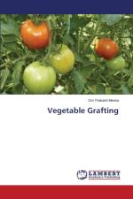 Vegetable Grafting af Meena Om Prakash