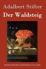 Der Waldsteig