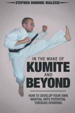 In the Wake of Kumite and Beyond af Stephen Dominic Dialessi