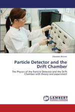 Particle Detector and the Drift Chamber af Alcocer Giovanni