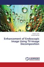Enhancement of Endoscopic Image Using TV-Image Decomposition af Ludes Jamlee