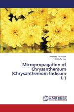 Micropropagation of Chrysanthemum (Chrysanthemum Indicum L.) af Naz Shagufta