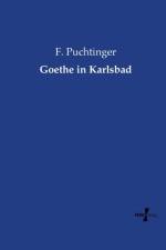 Goethe in Karlsbad af F Puchtinger
