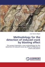Methodology for the detection of induced crack by blasting effect af Navarro Miguel Juan