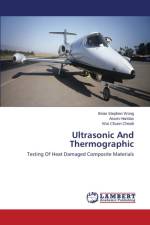 Ultrasonic And Thermographic af Wong Brian Stephen
