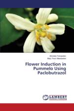 Flower Induction in Pummelo Using Paclobutrazol af Fernandez Alminda