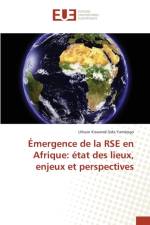 Emergence de la Rse En Afrique af Yameogo-U