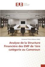 Analyse de la Structure Financiere Des Emf de 1ere Categorie Au Cameroun af Ndjamen Njabo-E