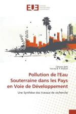 Pollution de l'Eau Souterraine Dans Les Pays En Voie de Developpement af Collectif