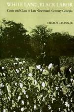 White Land, Black Labor af Charles L. Flynn Jr