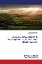 Serratia marcescens A Prokaryote af Lone Reyaz Ahmad