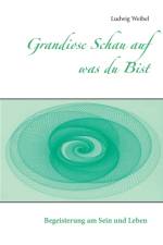 Grandiose Schau auf was du Bist af Ludwig Weibel