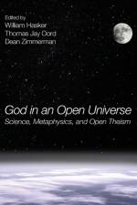 God in an Open Universe