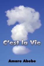 C'est la Vie af Amare Abebe