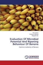 Evaluation Of Microbial Potential And Ripening Behaviour Of Banana af Qaiser Hina