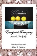 Nanduti, Encaje del Paraguay
